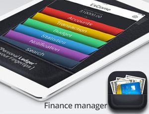 finance_manager1